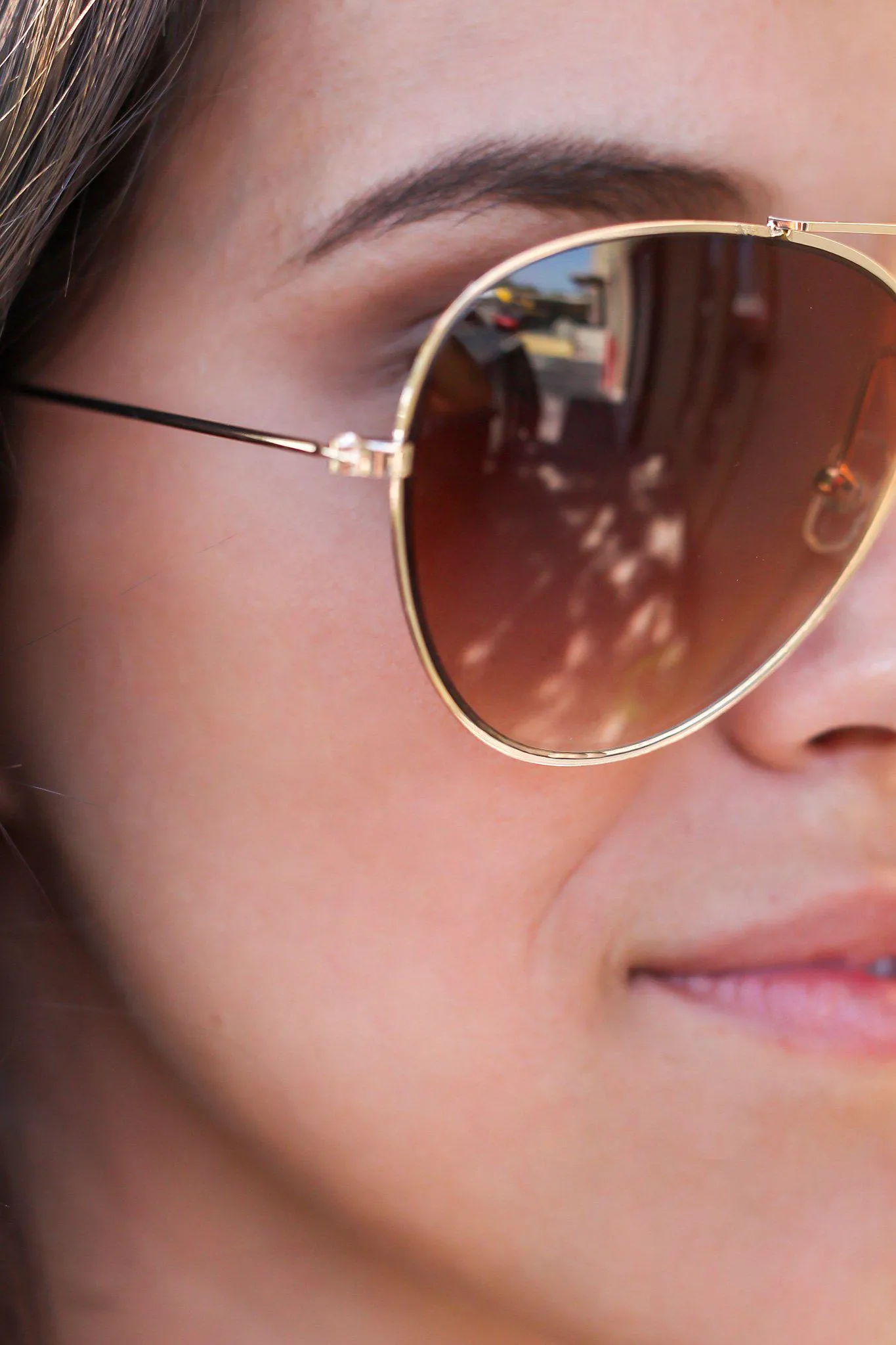 Brown Aviators with Gold Frame