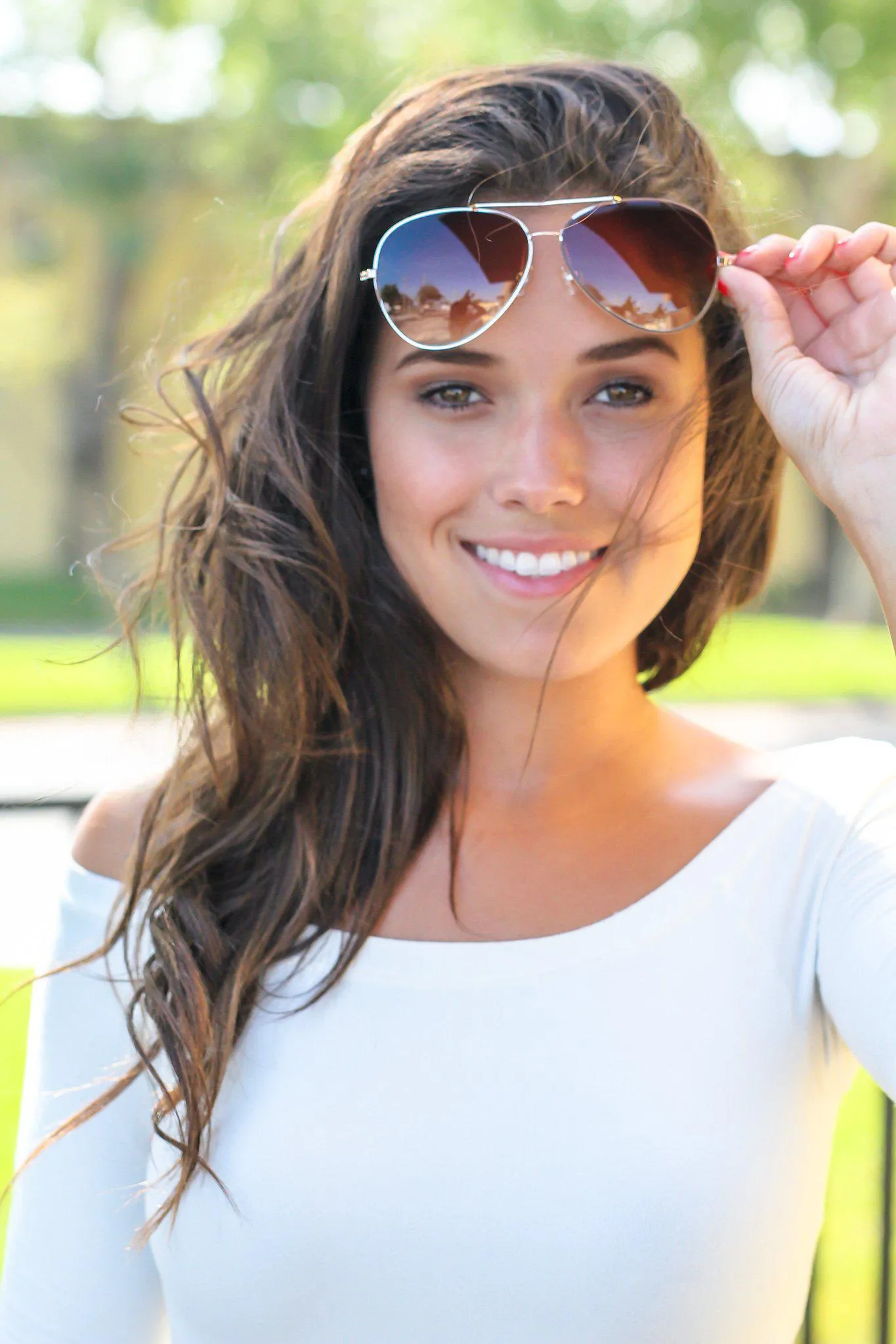 Brown Aviators with Gold Frame